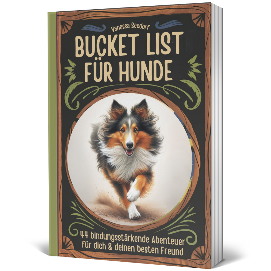 Mein Jahresrückblick 2024 - auf den Hund gekommen 24 Bucket List für Hunde