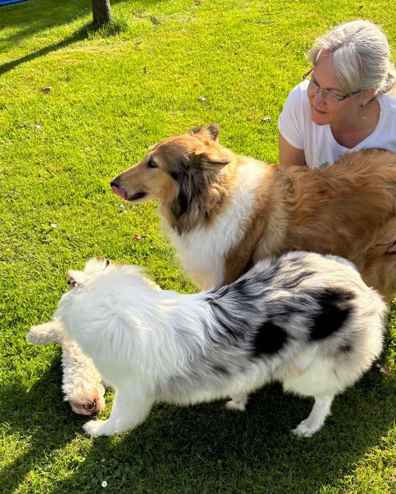 Mein Jahresrückblick 2024 - auf den Hund gekommen 33 Bei den Zuechtern