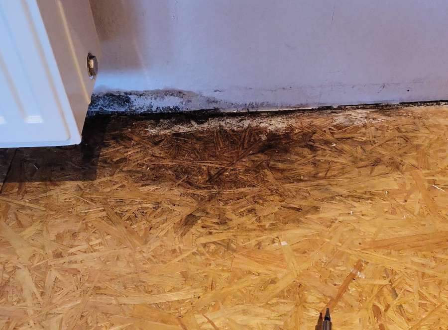 Mein Jahresrückblick 2024 - auf den Hund gekommen 15 Der Wasserschaden