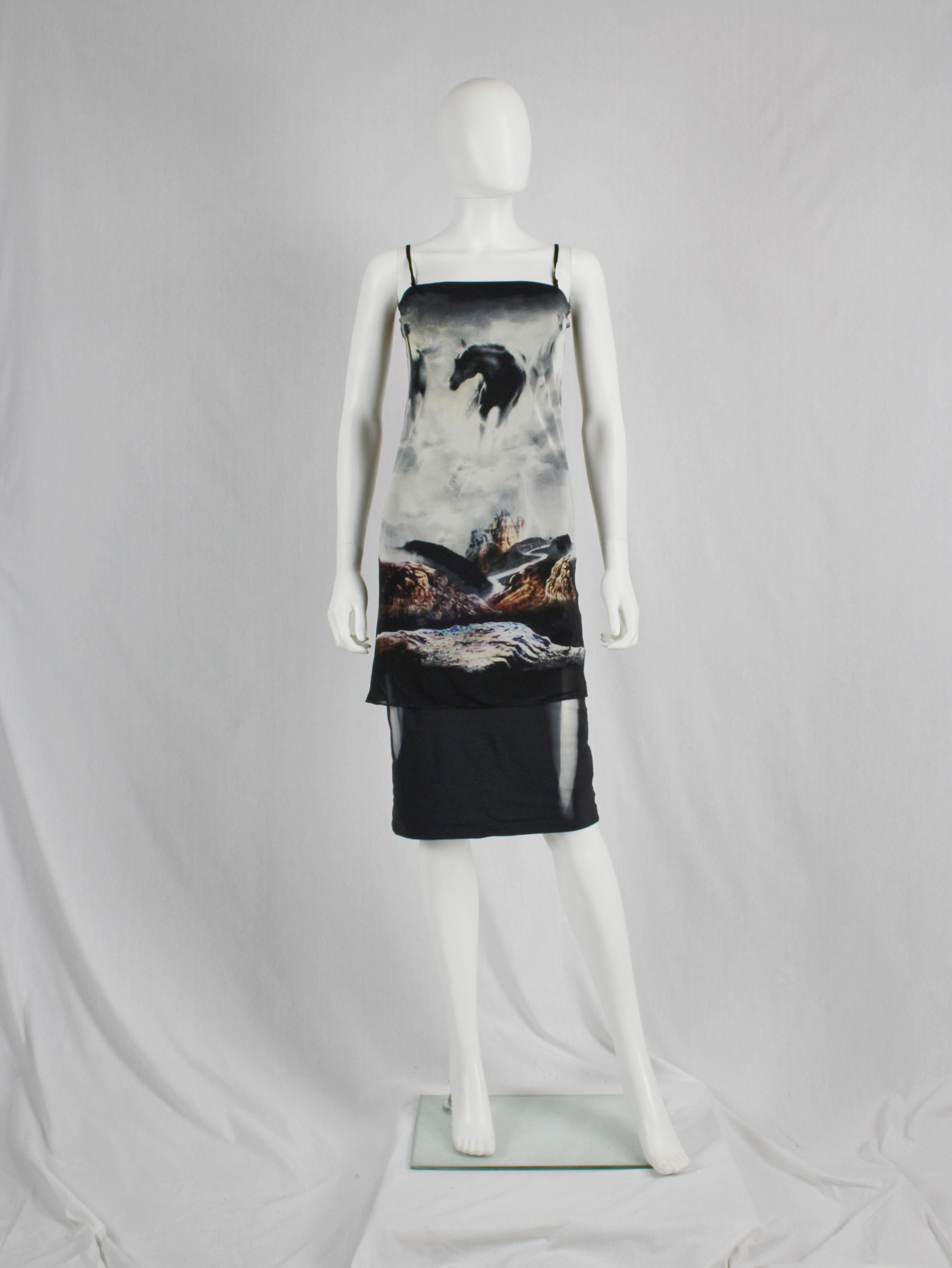 Maison Martin Margiela strapless dress printed with wild