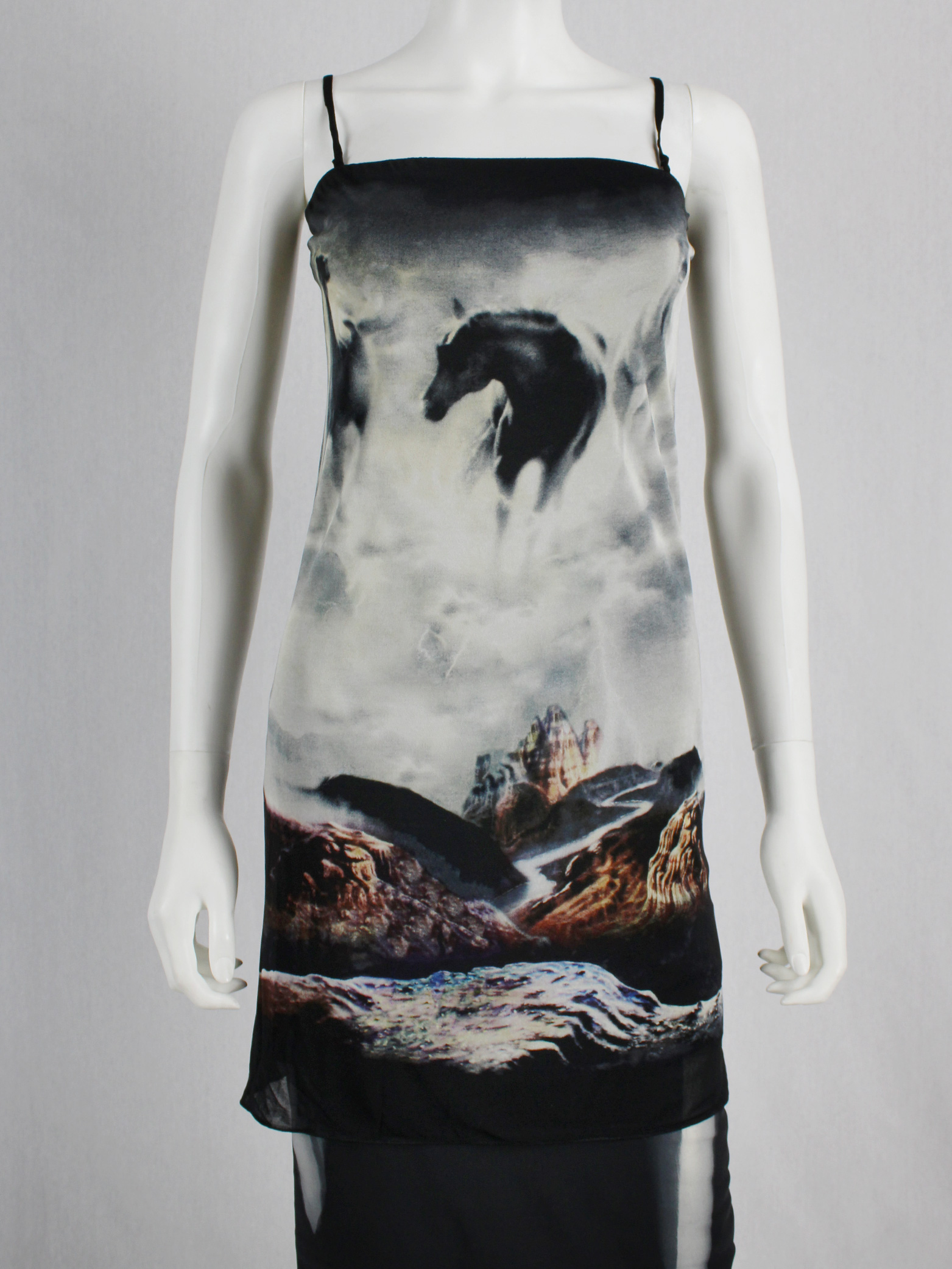 Maison Martin Margiela strapless dress printed with wild