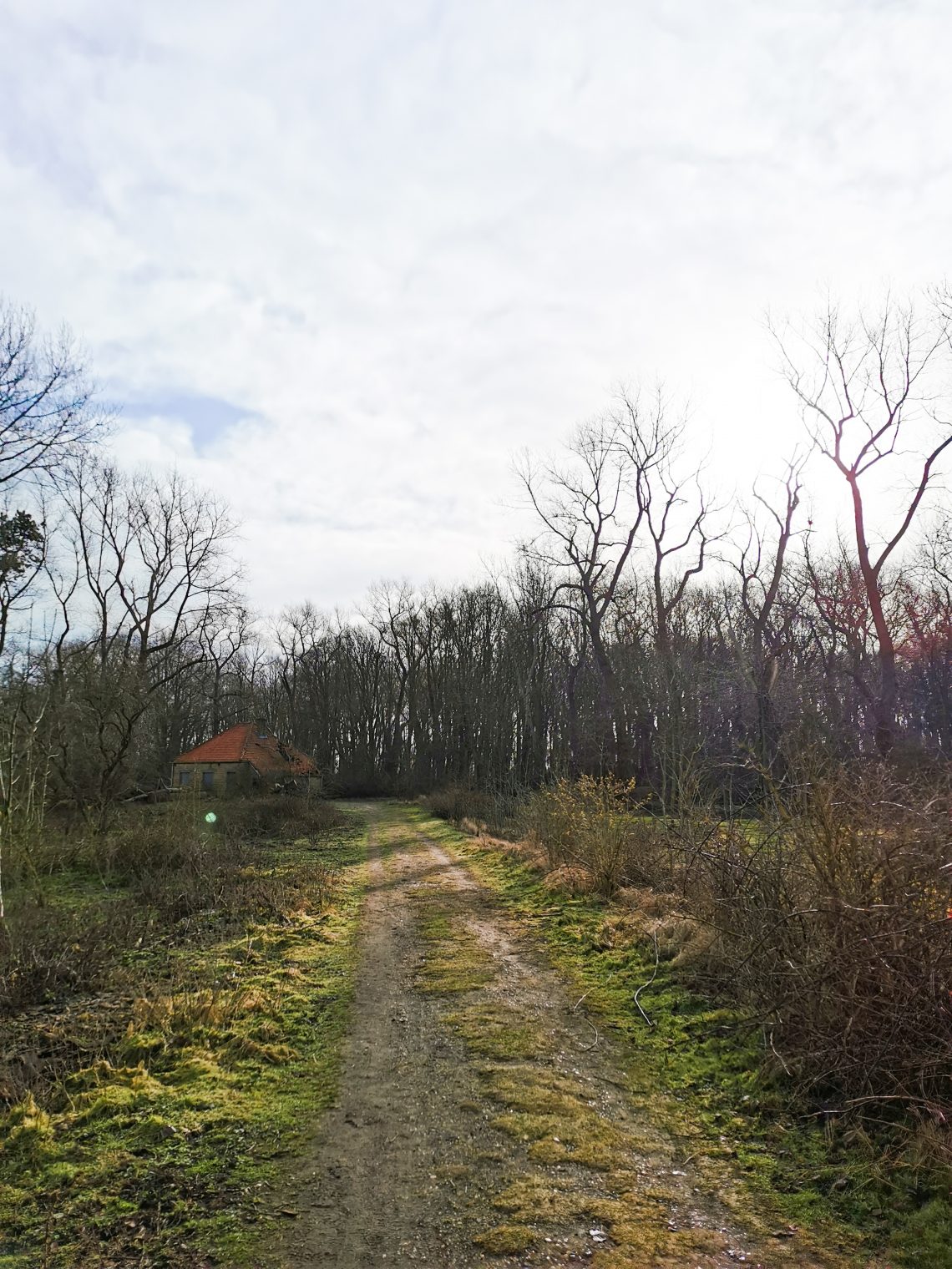 DOEN IN DE WESTHOEK MET KINDEREN: DE CABOURDUINEN