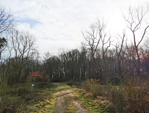 DOEN IN DE WESTHOEK MET KINDEREN: DE CABOURDUINEN