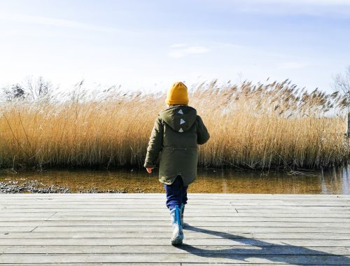 RAVOTTEN ONDER DE IJZERTOREN IN DIKSMUIDE