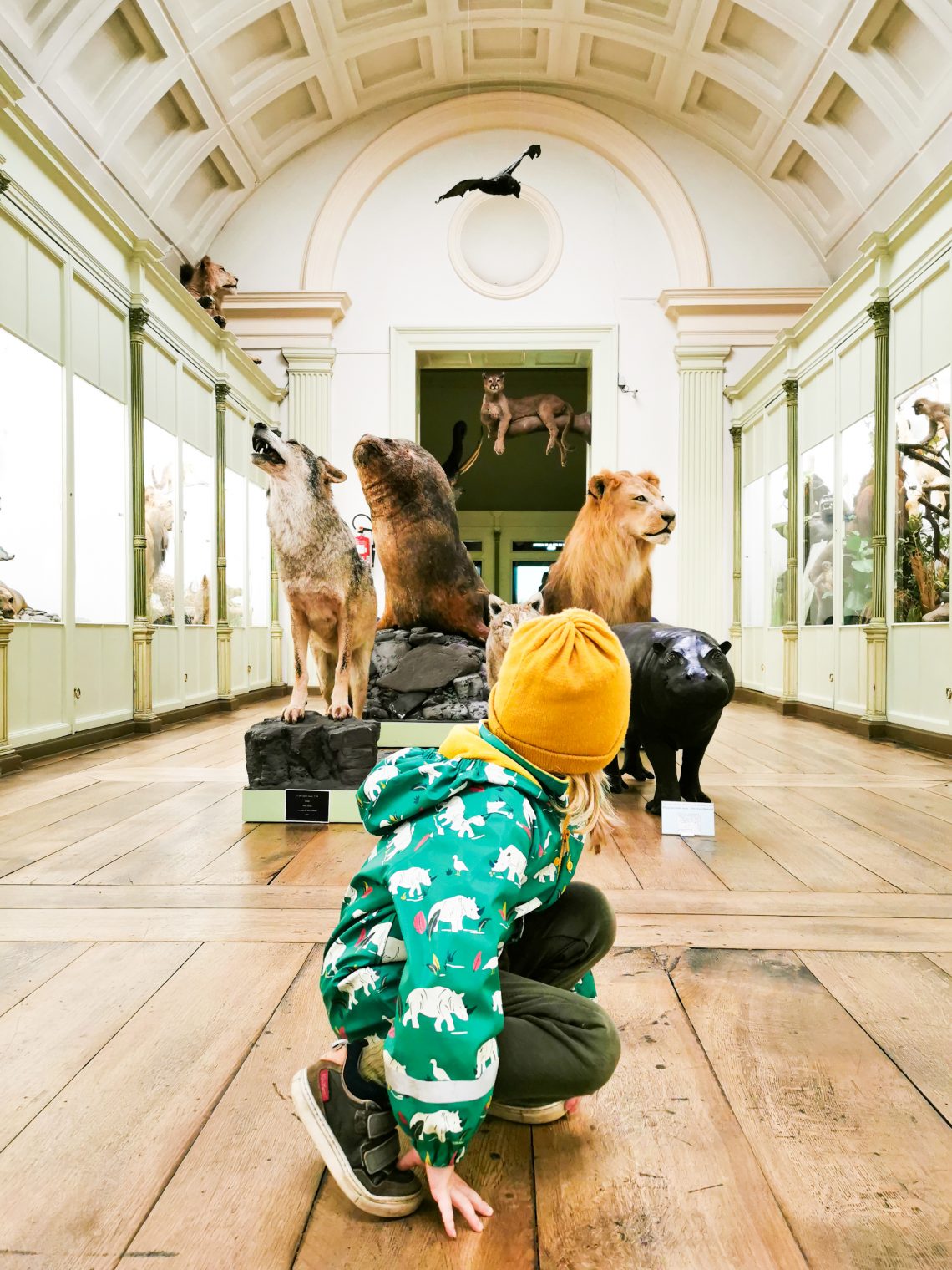 Tussen de wilde dieren met kinderen in Doornik