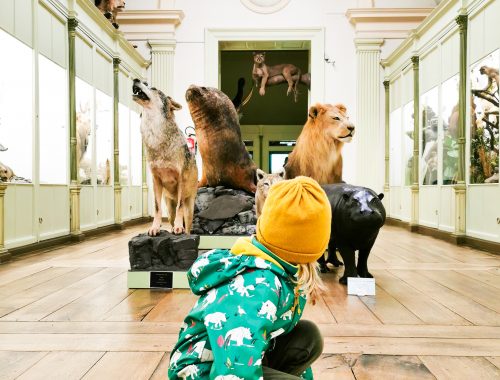 Tussen de wilde dieren met kinderen in Doornik