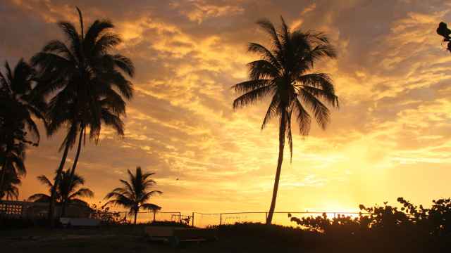 Sonnenuntergang in Varadero mit Palmen am Meer