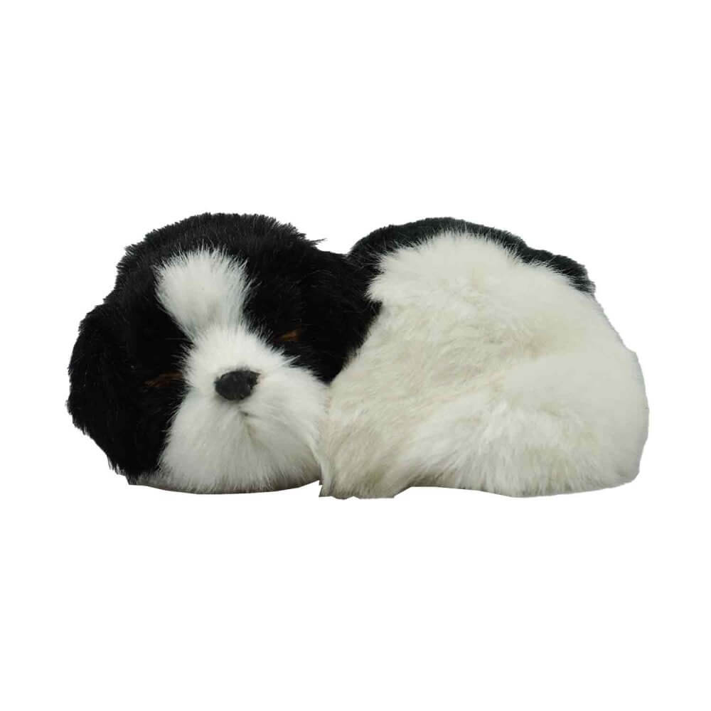 gosedjur sovande hundvalp svart vit