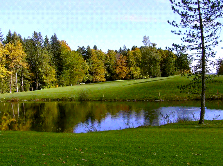 Skötsel av vattenhinder på golfbanor