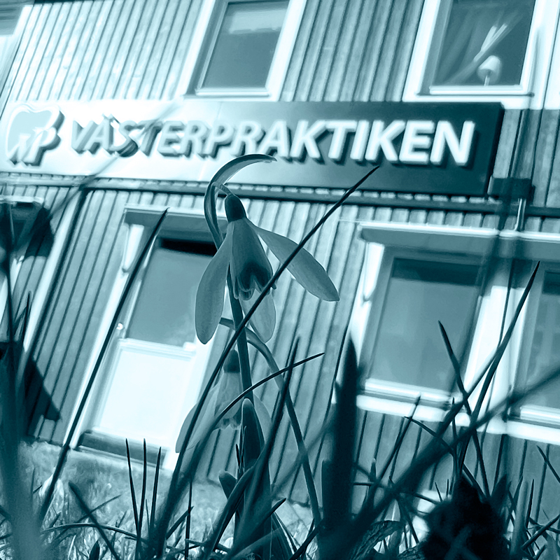 baksidan_entre