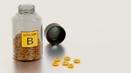 Omnadren 250 mg Jelfa Ergebnisse Omnadren 250 mg Jelfa Ergebnisse