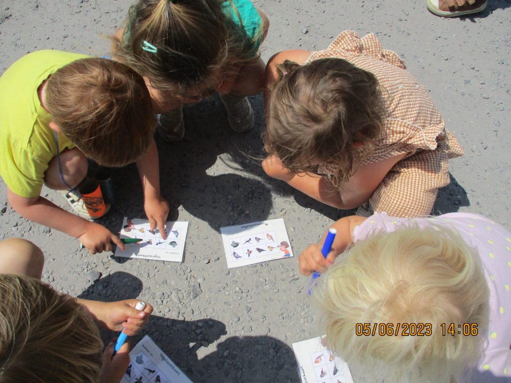Thema: Het vogeltje dat te ver vloog – Vrije Basisschool Zulte