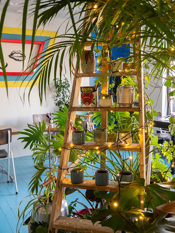 island of plants iland of plants Vegan Vegane Glorie