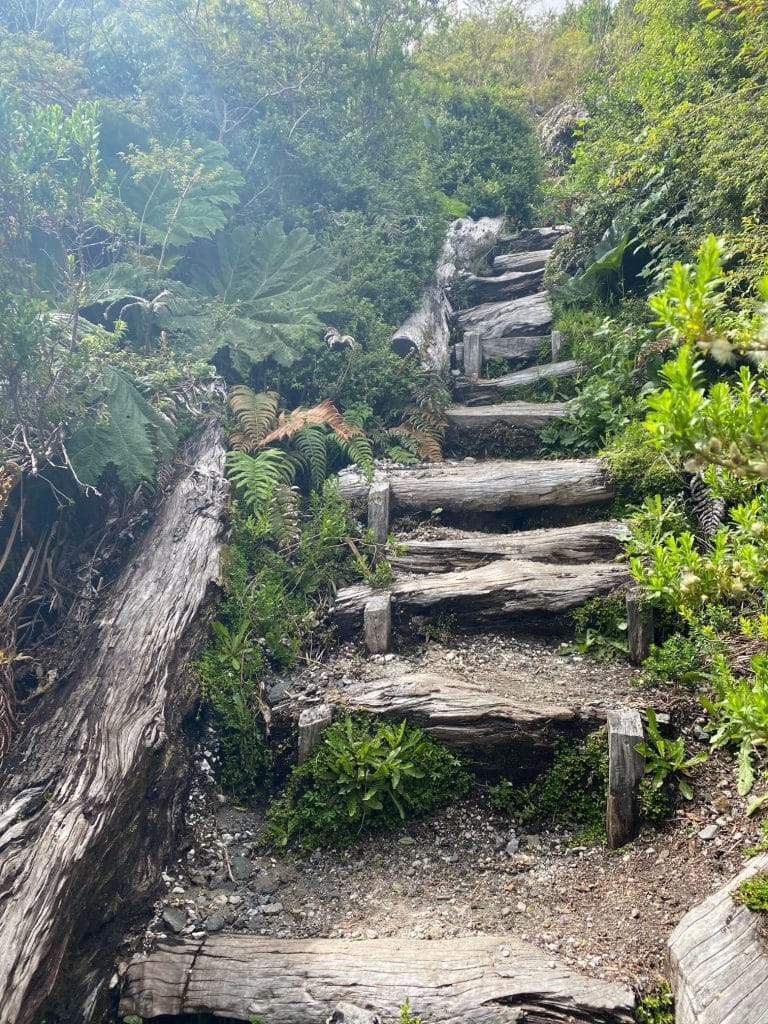 Wanderweg Vulkan Chaitén