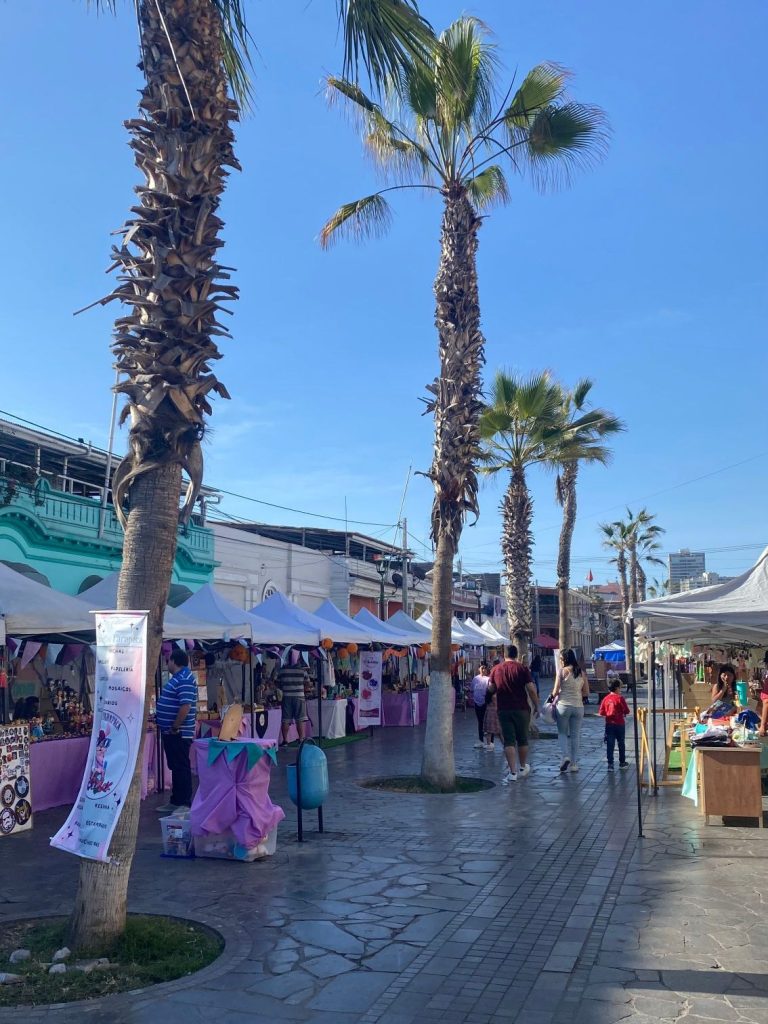 Markt auf der Avenida Baquedano unter Palmen