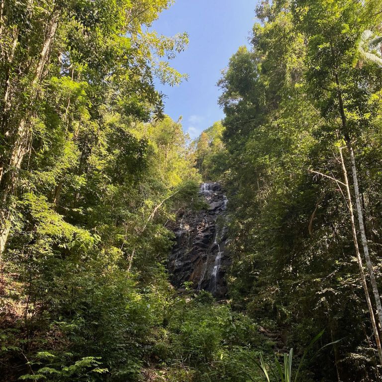 Koh Phangan Natur