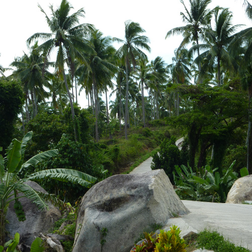 Thailand Inseln Koh Samui