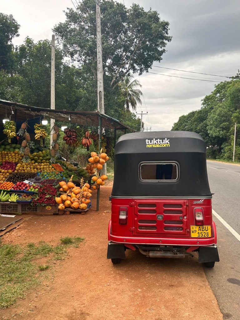 Kokosnuss Pause auf dem Weg nach Trincomalee