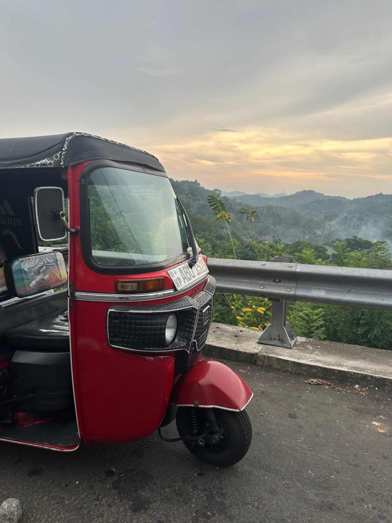 Ausblick mit dem TukTuk auf dem Weg nach Trincomalee