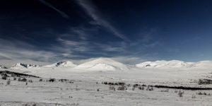 Dovrefjell