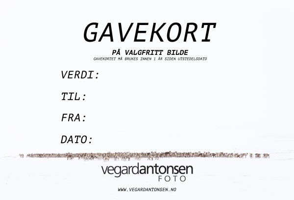 Gavekort