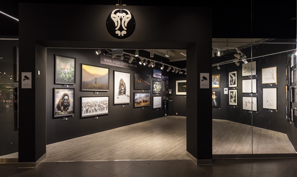 Galleri Orkanger