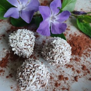 Coconut Chocolate Ball