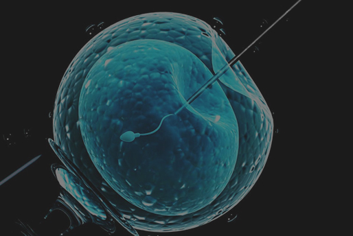 IVF