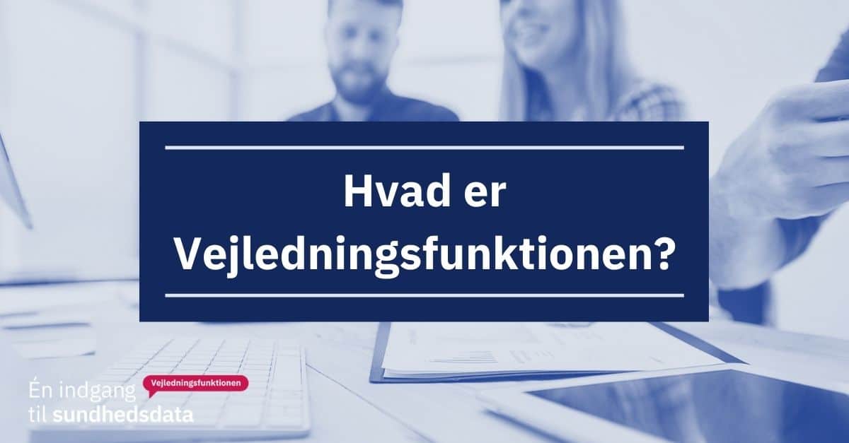 Hvad er Vejledningsfunktionen?