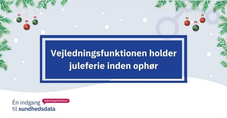 Vejledningsfunktionen ønsker Jer alle en glædelig jul og tak for denne gang