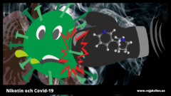 Nikotiini vs. Covd-19