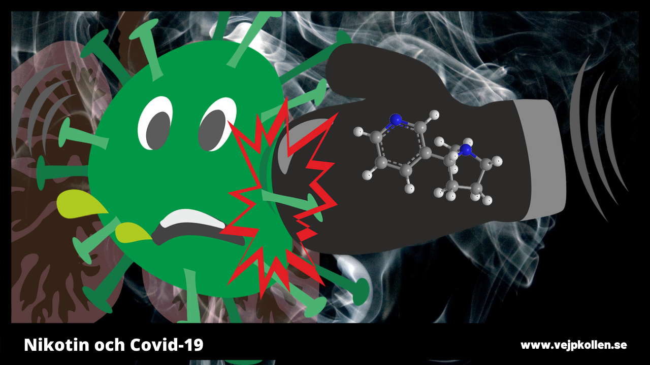 Nicotine vs Covd-19