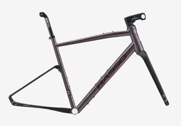 cuadro-gravel-basso-tera-purple