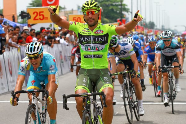 Vini Fantini - Selle Italia cycling jersey