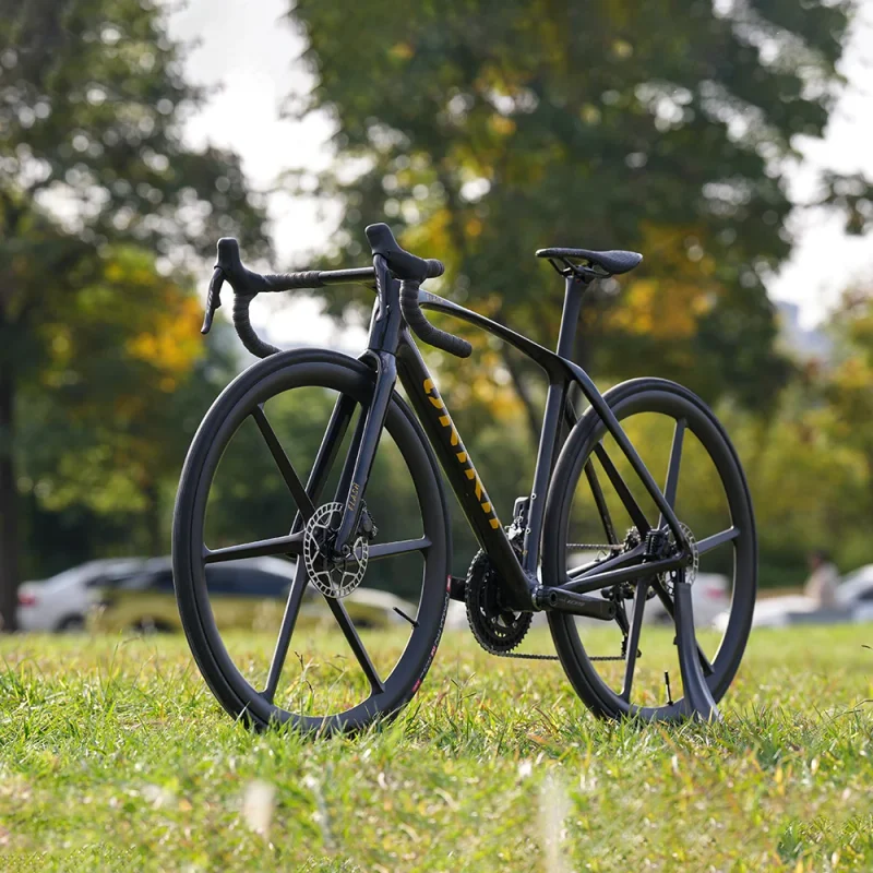 onirii flash bike