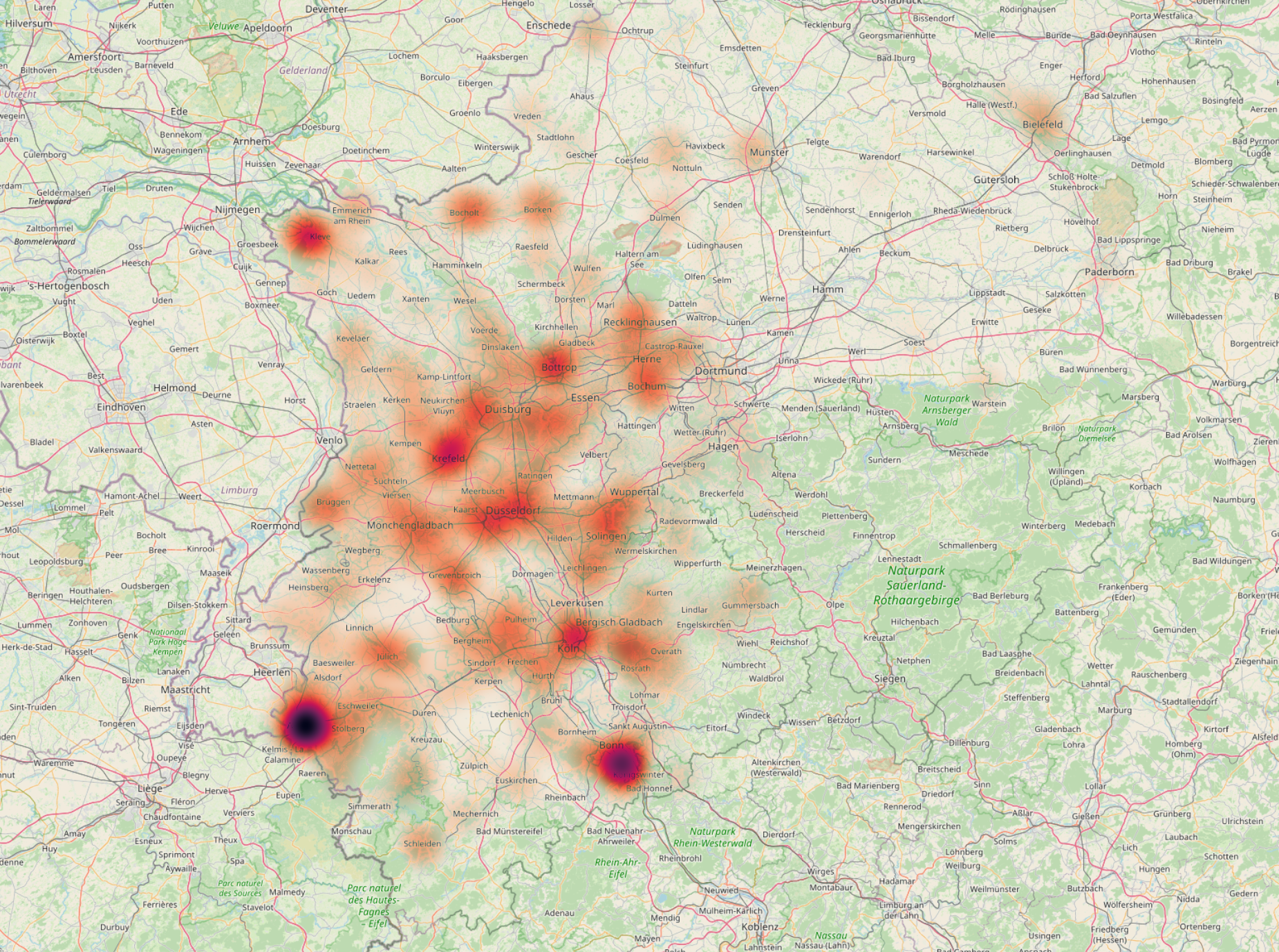 Heatmap der Asiatischen Hornisse (Vespa velutina) für das Jahr 2024 in Nordrhein-Westfalen Copyrights Thomas Beissel