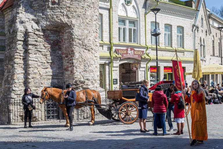 Stadspoorten van Tallinn