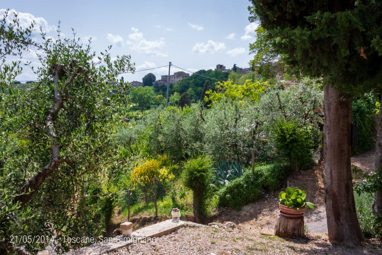 21/5: San Gimignano