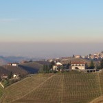 Barolo wijngebied met de Alpen op de achtergrond