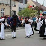 Maibaum 2019