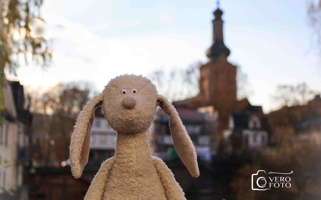 Entdecke Bad Kreuznach mit einem besonderen Begleiter