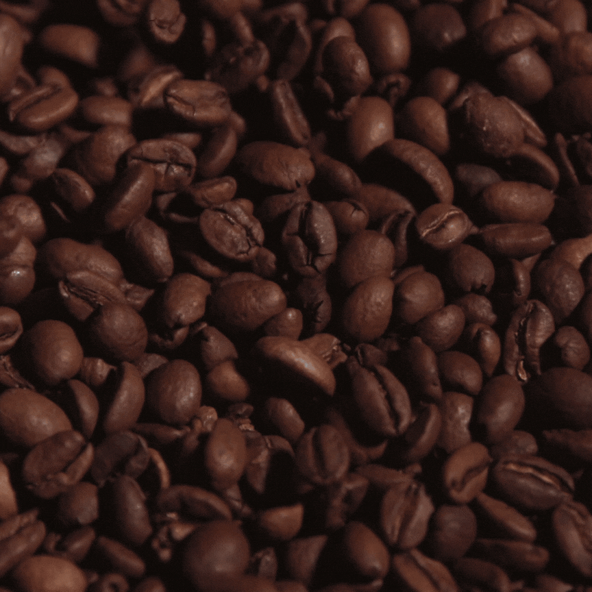 copywriting nordic coffee fest