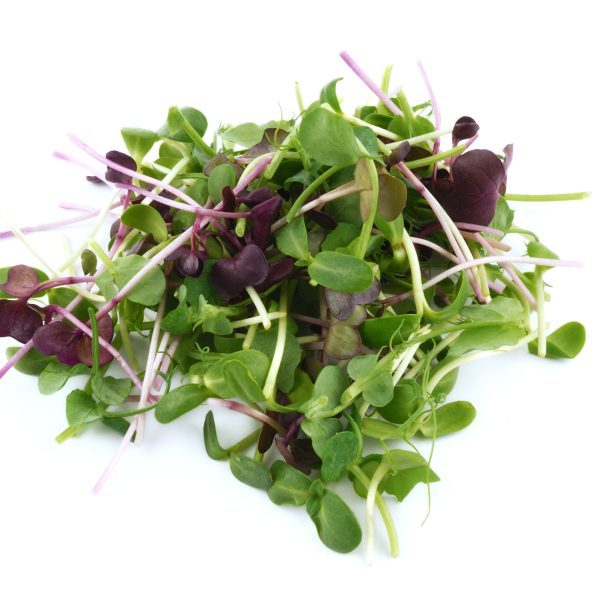 microgreens basic mix pro 200gr