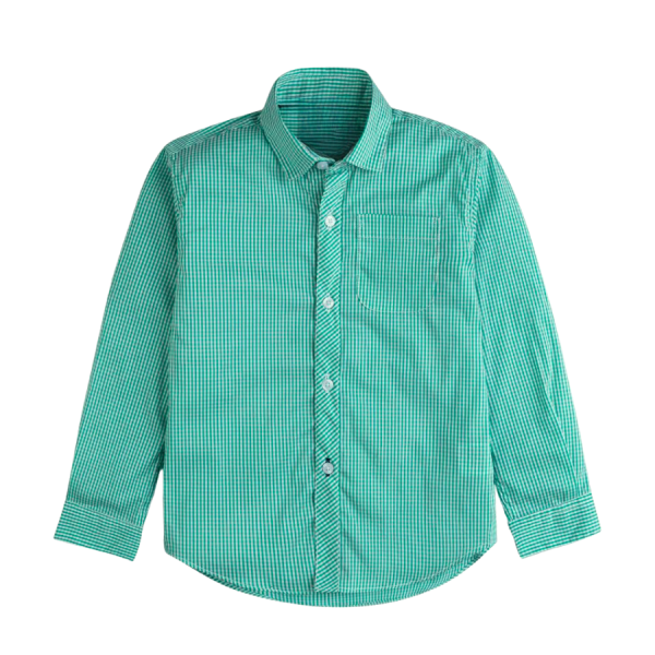 Kids Boys Mint Green Check Casual Shirt