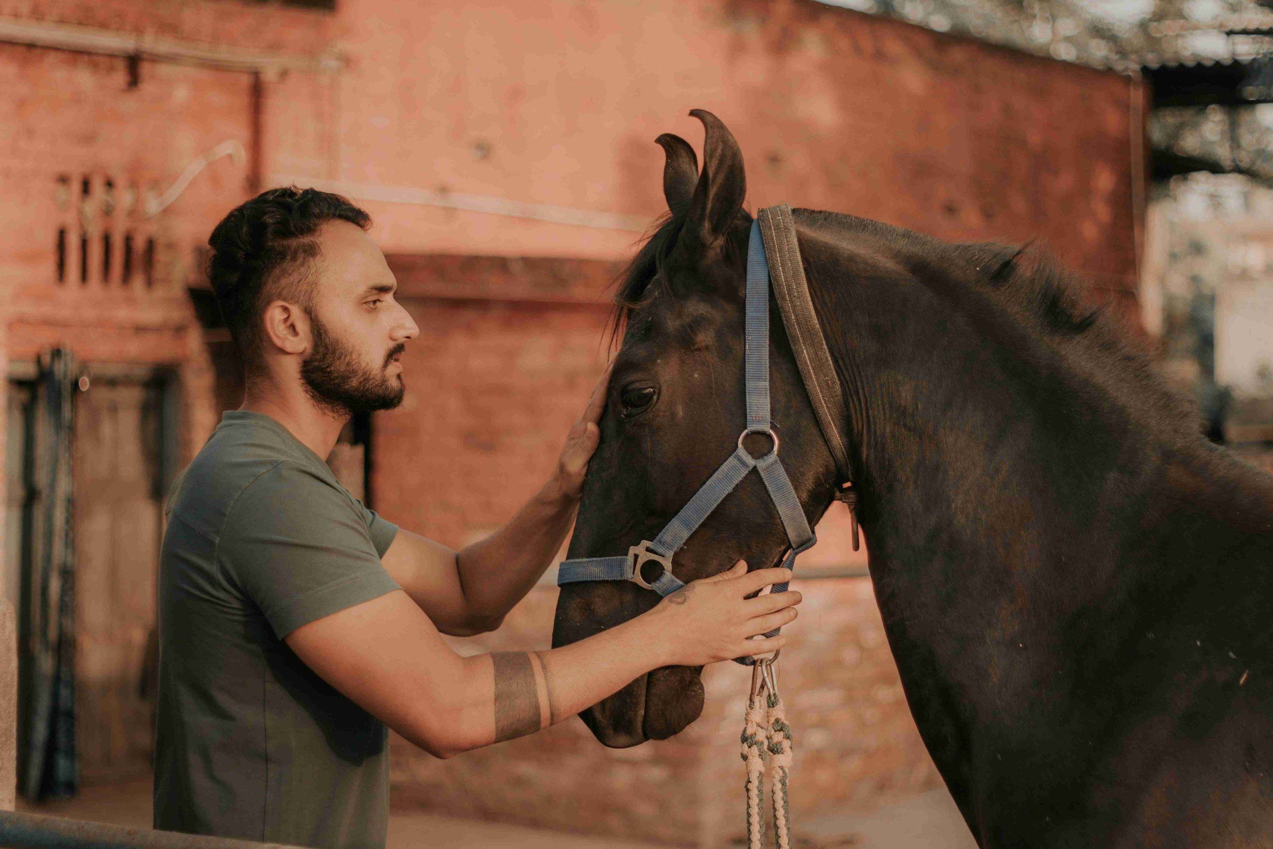 Specialiserad veterinär i Hyllie för Veterinär