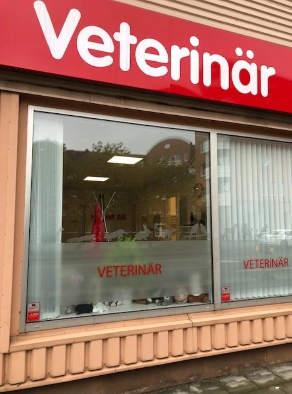 Kvalitativ Veterinär i Hyllie till bra pris