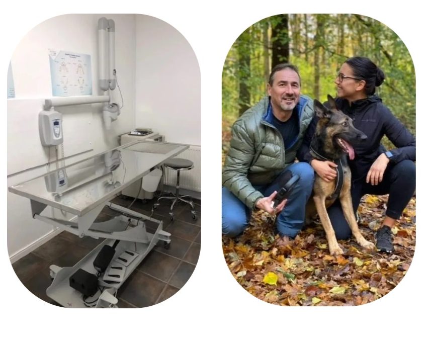 Specialiserade på Veterinär i Hyllie