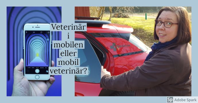 Veterinär i mobilen eller mobil veterinär? står det över två bilder. Till vänster en hand som håller en mobiltelefon, till höger en bild på veterinär Agneta Andersson vid Vetmobilen.