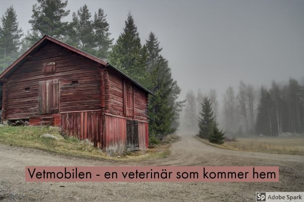 En grusväg med ett uthus till vänster, vägen fortsätter rakt fram. Vetmobilen är en veterinär som gör hembesök till Ljungby, veterinär som kommer hem, veterinär som kommer ut, veterinär hembesök