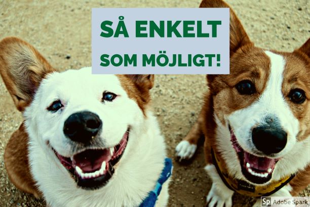 Två leende hundar tittar upp i kameran. Det är två corigie-hundar och texten "Så enkelt som möjligt!" står ovanför dem. Vetmobilens påminnelsetjänst underlättar för dig när det är dags att vaccinera din hund.